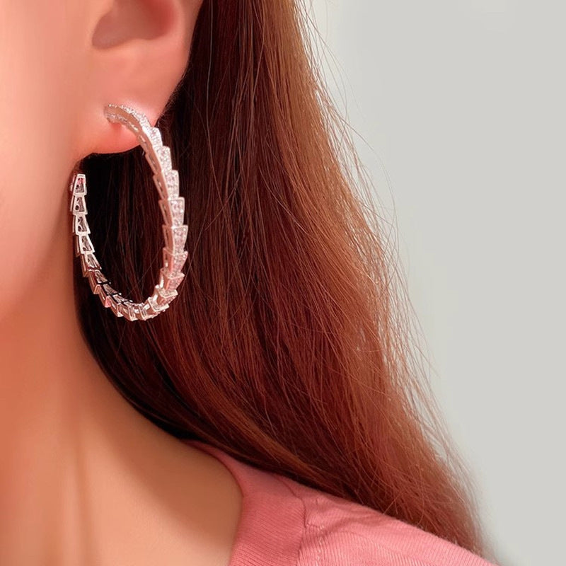 Beautiful Earring with Unique Style