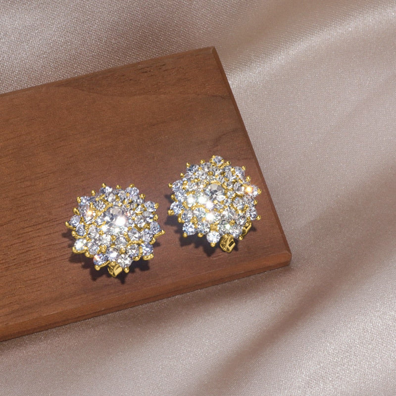 Charming Earring for Any Occasion