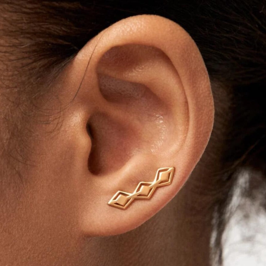 Elegant Earring for Every Occasion