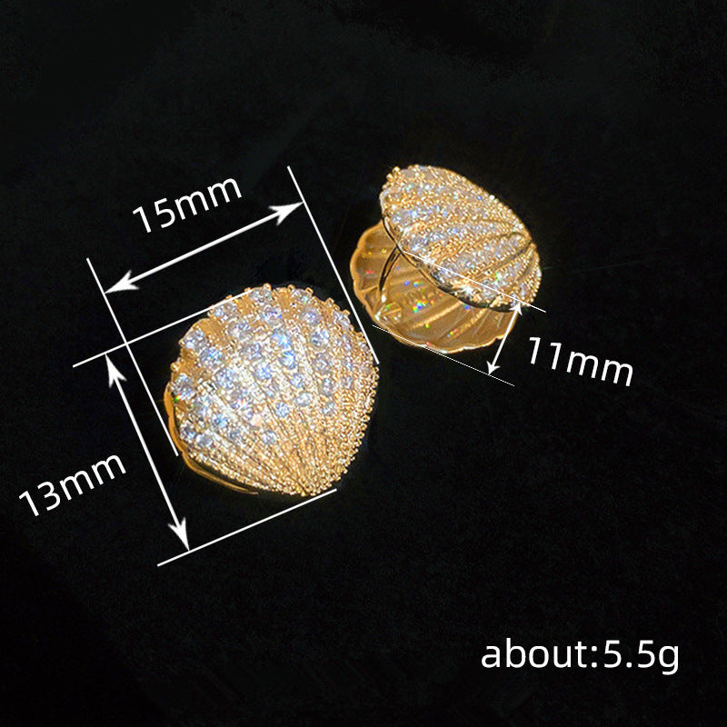 Beautiful Earring with Unique Style