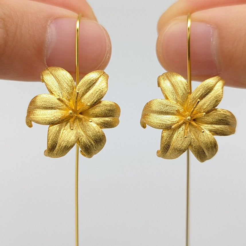 Beautiful Earring with Unique Style