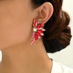 Beautiful Earring with Unique Style