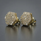 Classic Earring with Timeless Appeal