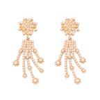 Beautiful Pearl Earring with Unique Style