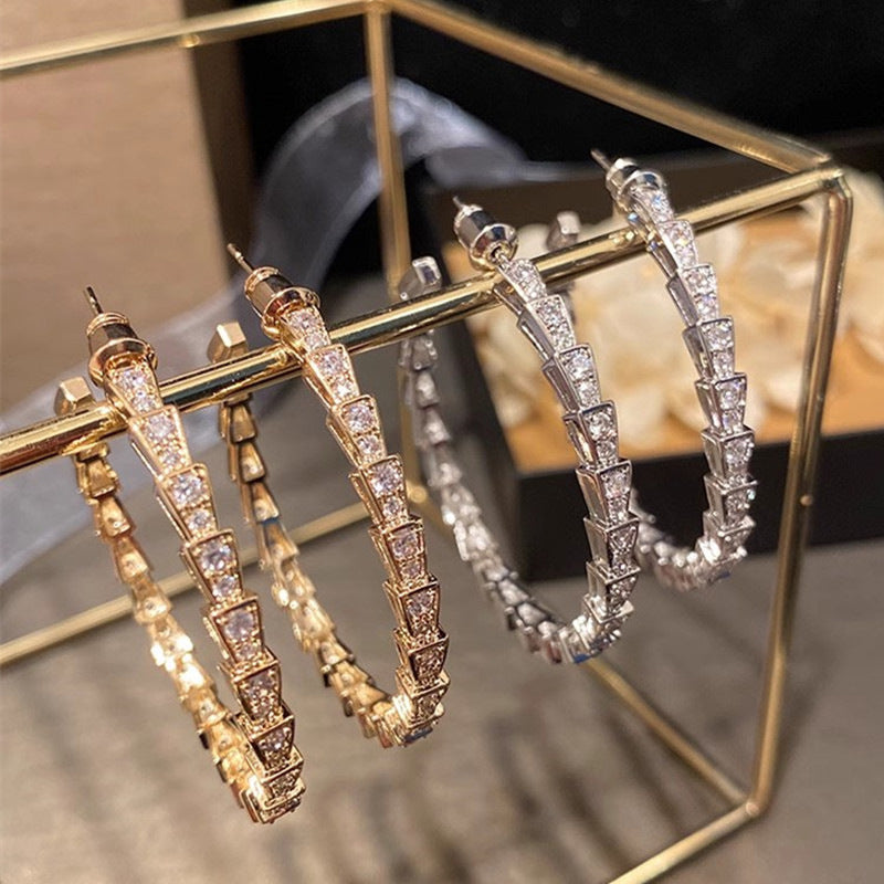 Beautiful Earring with Unique Style