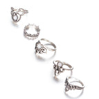 Stunning Set for Daily Wear