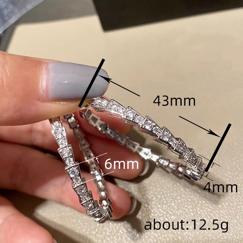 Beautiful Earring with Unique Style