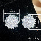 Charming Earring for Any Occasion