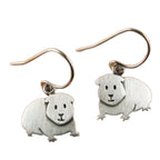 Charming Silver Earring for Any Occasion