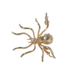 Stunning Piece for Daily Wear