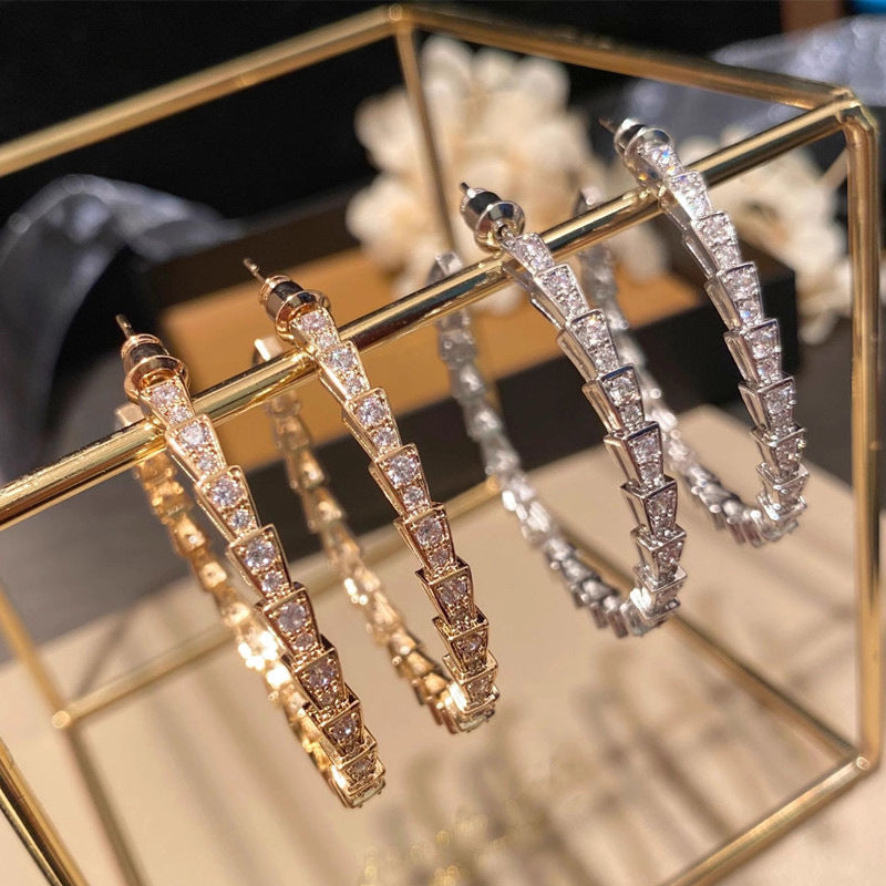 Beautiful Earring with Unique Style