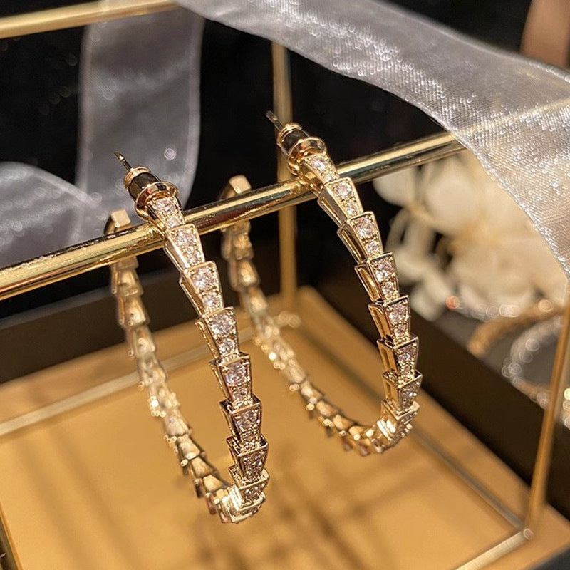 Beautiful Earring with Unique Style