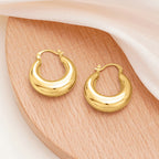 Stunning Earring for Daily Wear